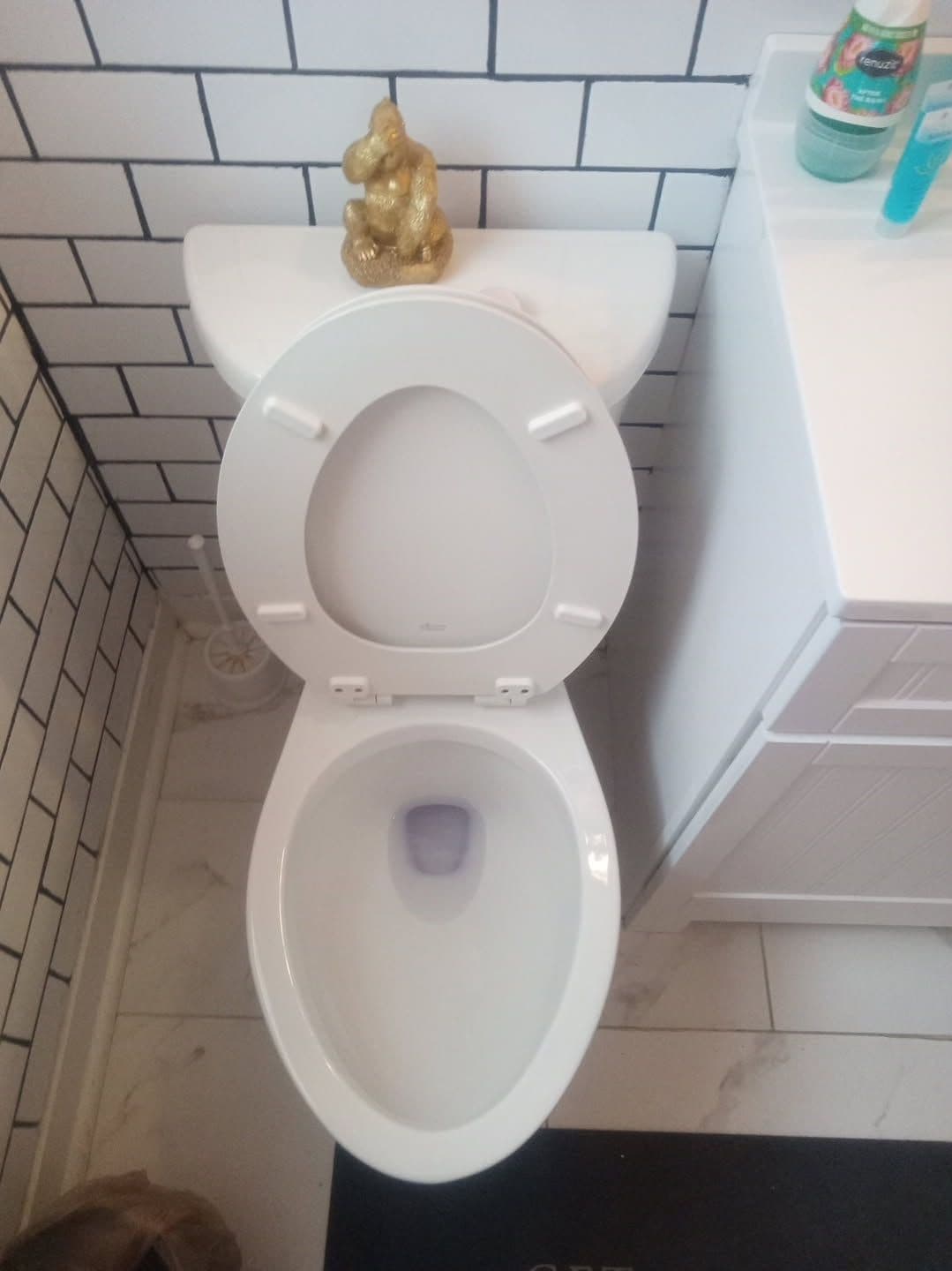 Bathroom Transformation in Sparkling Detail