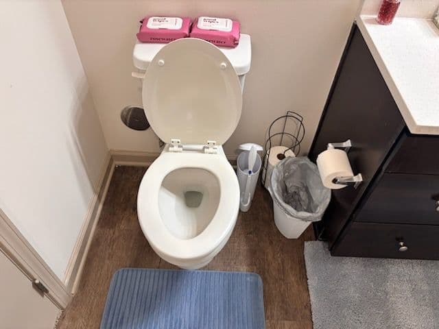 Achieve Spotless Cleanliness with CleanChamps