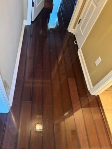 Experience Sparkling Floors and Pristine Living Spaces image