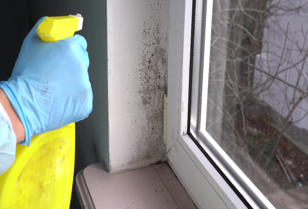 How Dallas Weather Impacts Your Home Cleaning Routine and What to Do About It